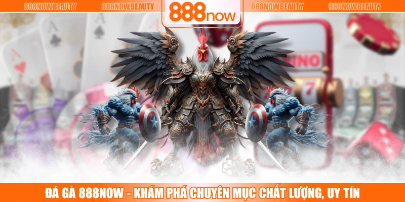 Đá Gà 888NOW - Khám Phá Chuyên Mục Chất Lượng, Uy Tín
