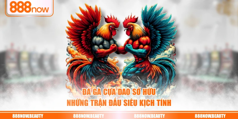 Đá gà cựa dao sở hữu những trận đấu siêu kịch tính
