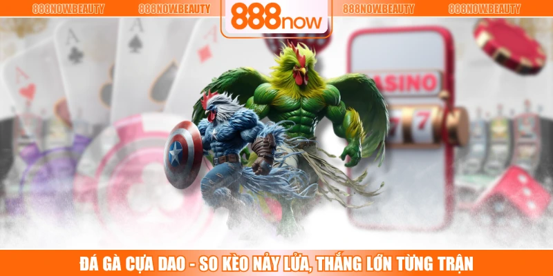 Đá Gà Cựa Dao - So Kèo Nảy Lửa, Thắng Lớn Từng Trận