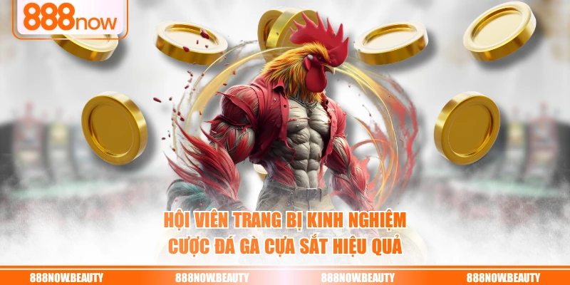 Hội viên trang bị kinh nghiệm cược đá gà cựa sắt hiệu quả