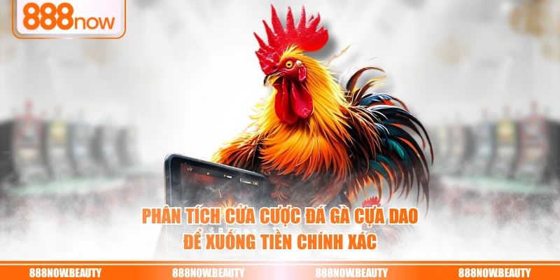 Phân tích cửa cược đá gà cựa dao để xuống tiền chính xác