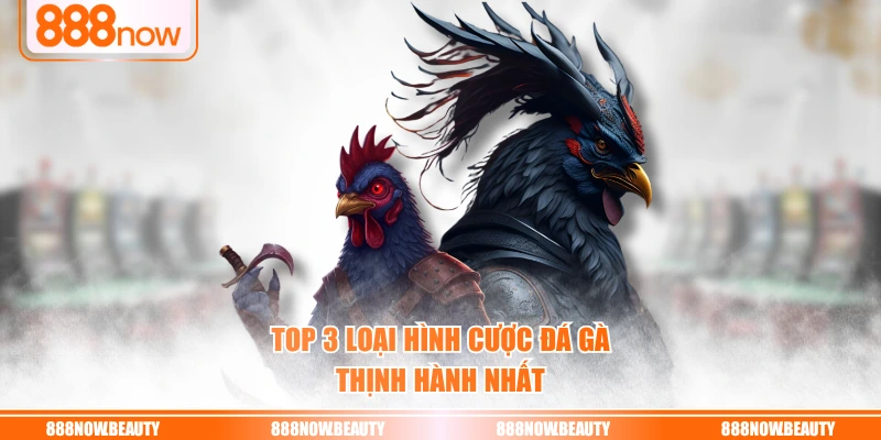 Top 3 loại hình cược đá gà thịnh hành nhất