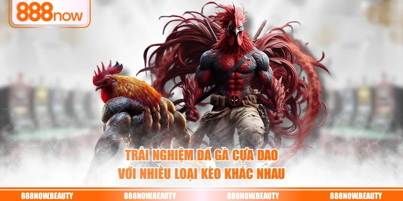 Trải nghiệm đá gà cựa dao với nhiều loại kèo khác nhau